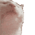 1673236161930.png