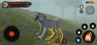 Screenshot_20210927-201140.jpg