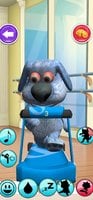 Screenshot_2023-02-03-23-25-35-436_com.talking.pablo.dog.pet.care.mini.games.jpg