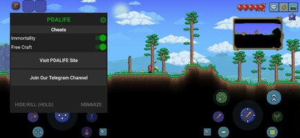 Screenshot_20241026_010251_Terraria.jpg