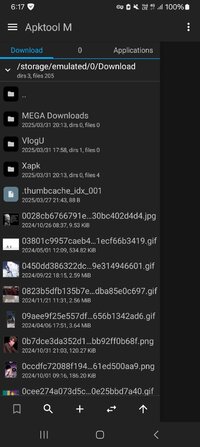 Screenshot_20250401_061719_Apktool M.jpg
