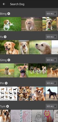 Screenshot_20250428_194127_picTrove.jpg