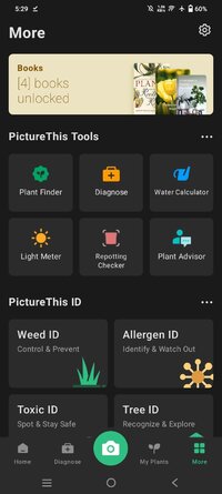 Screenshot_20250728_172922.jpg