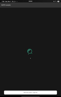 Screenshot_20251101_195826_XAPK Installer.jpg