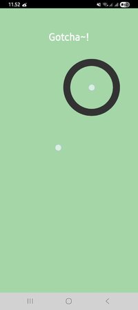 Screenshot_20251104_115217_Gotcha.jpg