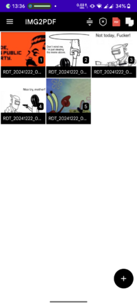 Screenshot_20251104-133641_IMG2PDF.png