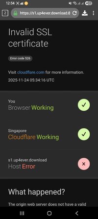 Screenshot_20251124_123425_1DM+.jpg
