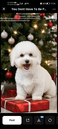 Screenshot_20251205_172410_com.dreamapp.dubhe.jpg