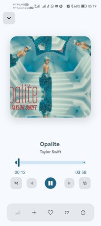 Screenshot_20251224_051927_com.gokadzev.musify.jpg