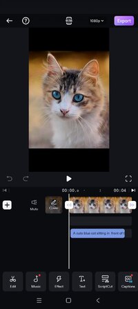 Screenshot_2026-01-06-17-41-40-879_video.editor.videomaker.effects.fx.jpg
