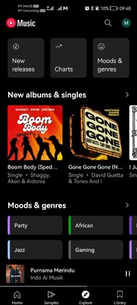 Screenshot_20260114_094826_app.morphe.android.apps.youtube.music.jpg