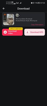 Screenshot_20260119_073333_tiktok.video.downloader.nowatermark.tiktokdownload.snaptik.jpg