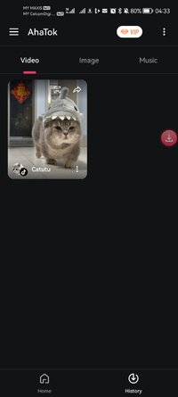 Screenshot_20260203_043313_tiktok.video.downloader.nowatermark.tiktokdownload.snaptik.jpg