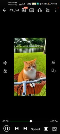 Screenshot_20260205_081554_com.playit.videoplayer.jpg