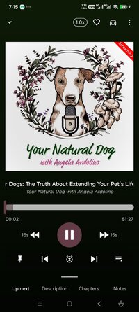 Screenshot_2026-03-14-19-15-32-874_com.itunestoppodcastplayer.app.jpg