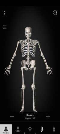 Screenshot_20260417_180217_com.anatomyka.android.jpg
