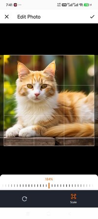 Screenshot_2026-04-27-19-41-04-887_cat.scanner.cat.identifier.jpg
