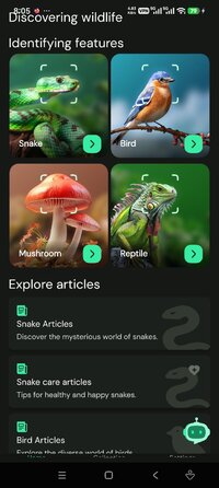 Screenshot_2026-04-27-20-05-15-775_com.ai.snake.identifier.scanner.jpg