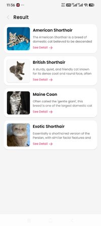 Screenshot_2026-07-04-23-36-54-657_cat.scanner.cat.identifier.jpg