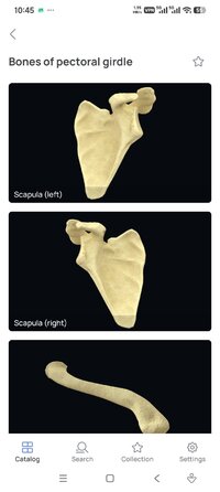 Screenshot_2026-07-07-10-45-47-009_com.innowise.pathology3d.jpg