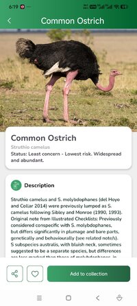 Screenshot_2026-07-08-06-19-44-158_com.bird.sound.finder.jpg