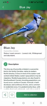 Screenshot_2026-07-08-06-19-07-164_com.bird.sound.finder.jpg