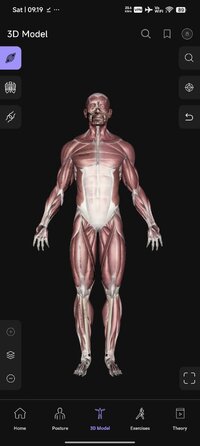 Screenshot_2026-07-11-09-19-54-710_air.com.musclemotion.posture.jpg