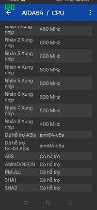 aida64.jpg