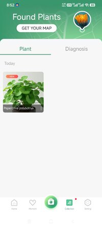Screenshot_2026-07-25-20-52-04-919_app.plant.identification.jpg