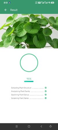 Screenshot_2026-07-25-20-51-12-724_app.plant.identification.jpg