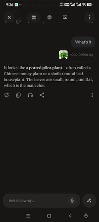 Screenshot_2026-07-25-21-26-35-776_ai.perplexity.app.android.jpg