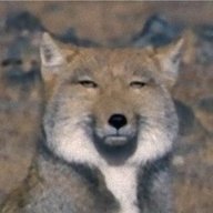 hatarizx