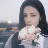 达姬博