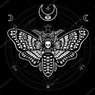 THE MOTH