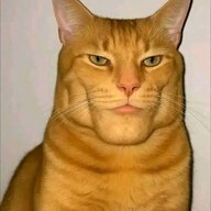 Daydayat