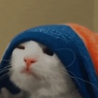 BagLaVena