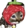passmetehpizza