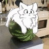 stray_slash