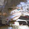 Zenith-Sama