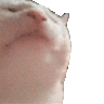 Canhheo
