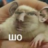 loxloxloxlox