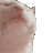 Indra