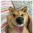 sSayWoof