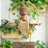 NguyenHung.SGN