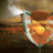 JAS ARSENAL