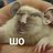 loxloxloxlox